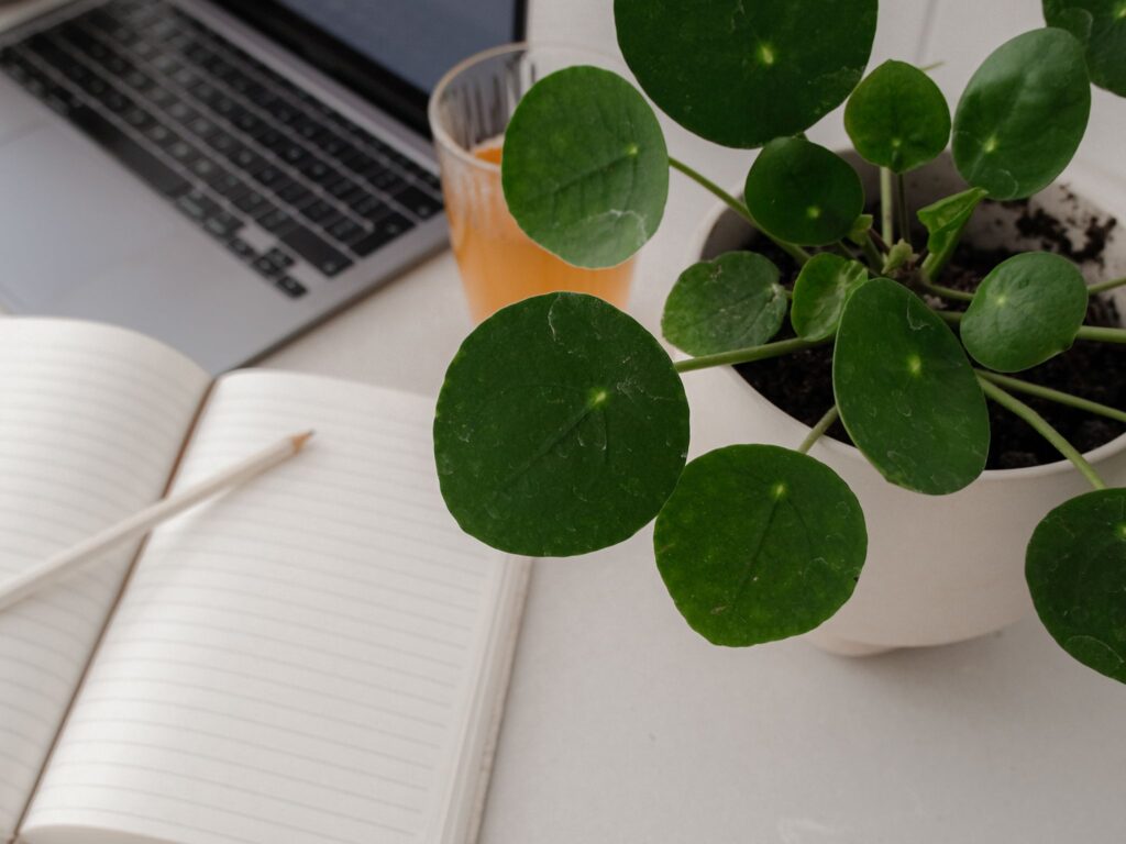 Cognitieve gedragstherapie (CGT)